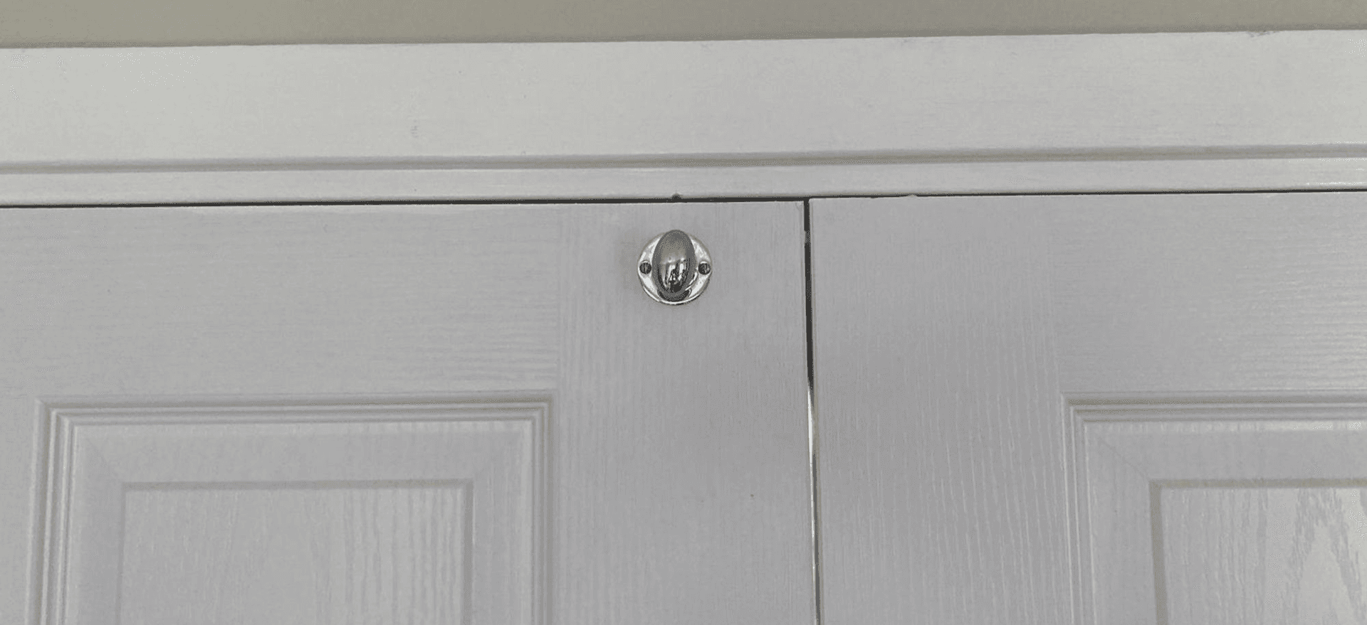 a security bolt turn, otherwise known as a internal French door lock