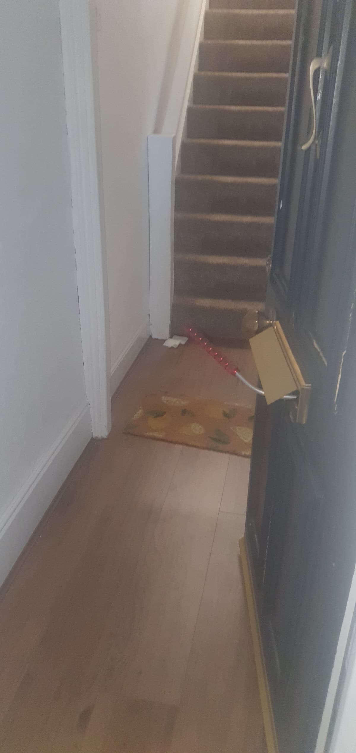 Professional Locksmith Services An emergency door opening through the letterbox by ad locksmithing